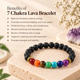 Money Magnet and Seven Charka with Lava Stone Bracelet Combo