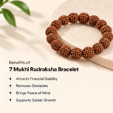 7 Mukhi Rudraksha Bracelet - Nepal Original & Lab Certified