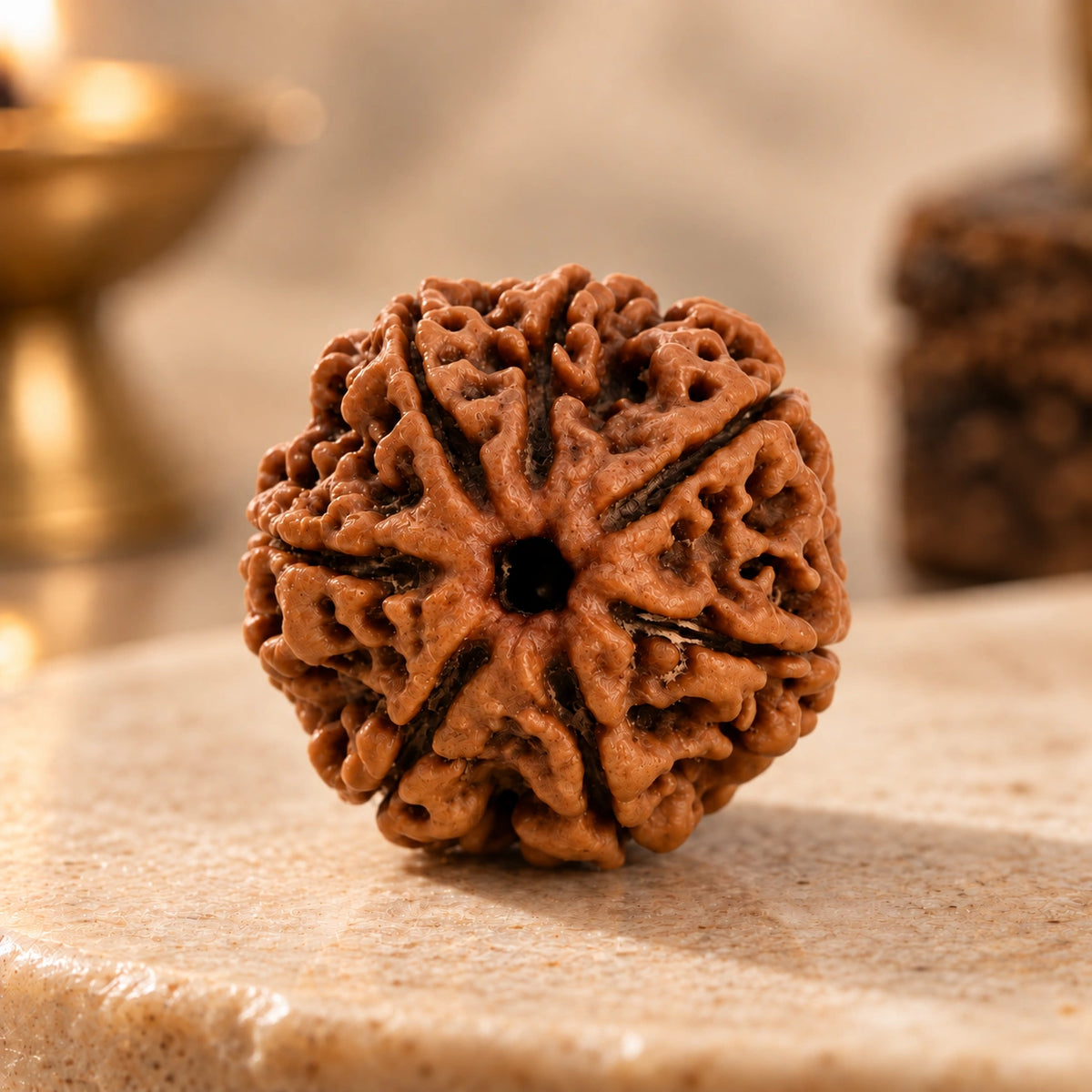 7 Mukhi Rudraksha Bracelet - Nepal Original & Lab Certified