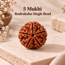 5 Mukhi Rudraksha - Nepal Origin & Certified