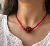 5 Mukhi Rudraksha - Nepal Origin & Certified